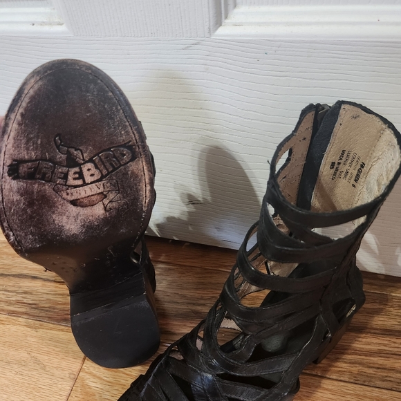 Freebird by Steven Queen - Picture 2 of 2